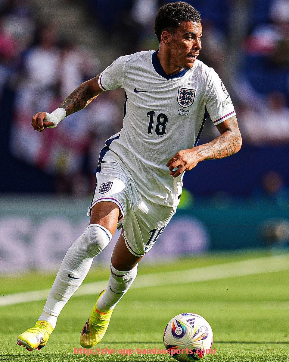 半岛体育app-火箭队与掘金队比赛的回放视频及技术解析